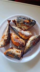 Titus Fish